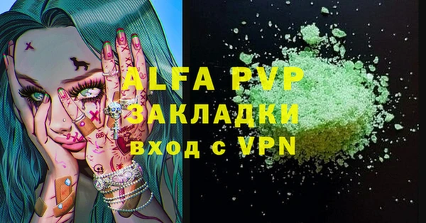 крисы Каменка