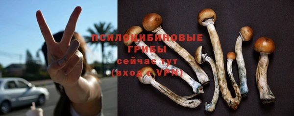 крисы Каменка