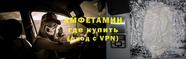 крисы Каменка