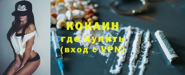 гидра Каменногорск