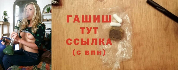 крисы Каменка