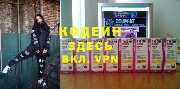 крисы Каменка