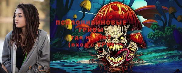 гидра Каменногорск