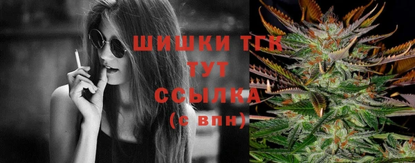 крисы Каменка