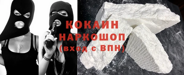крисы Каменка