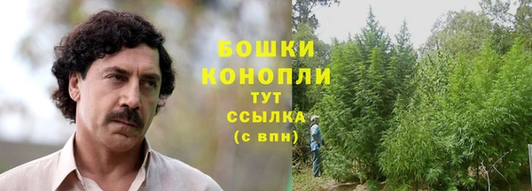 твердый Щучье