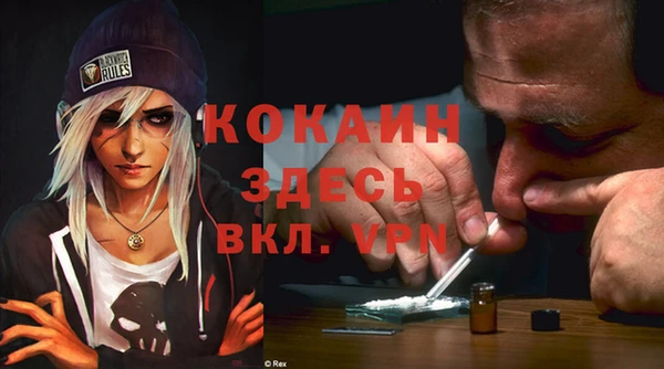крисы Каменка