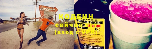 гидра Каменногорск