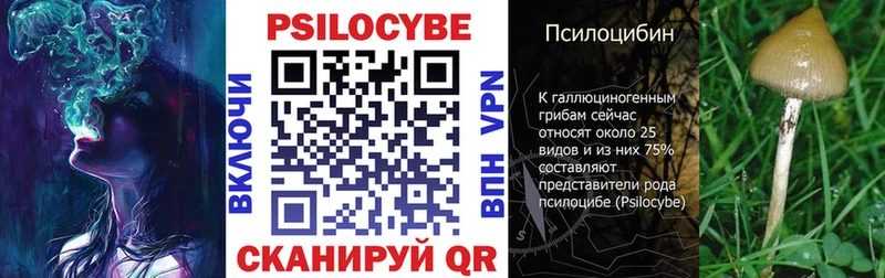 Галлюциногенные грибы мухоморы  MEGA ссылка  Исилькуль  где купить наркоту 